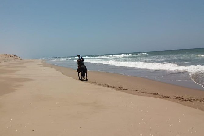 1 horse riding in agadir national park Horse Riding in Agadir National Park