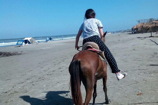 Horse Riding in Cartagena