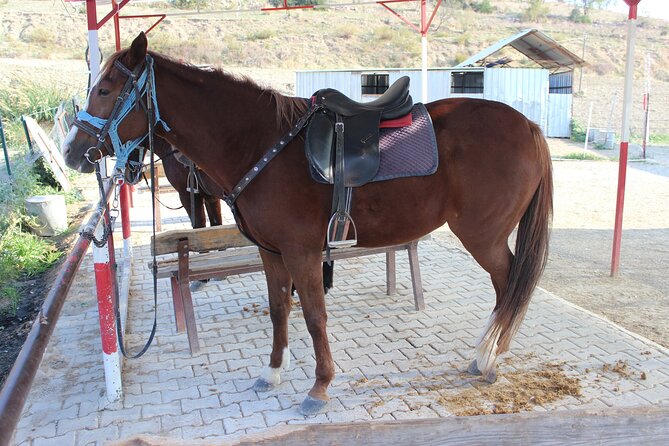 Horse Riding in Kusadasi