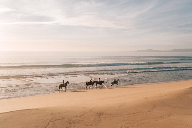 Horse Riding on the Beach With Private Transfer From Lisbon