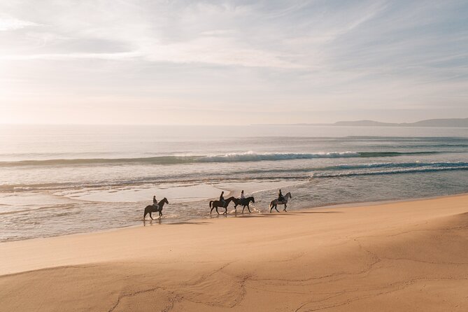 1 horse riding on the beach with private transfer from lisbon 2 Horse Riding on the Beach With Private Transfer From Lisbon