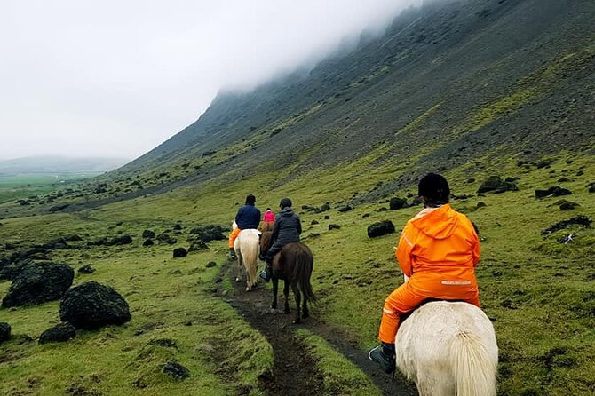 1 horse riding tour in the icelandic countryside all riding levels Horse Riding Tour in the Icelandic Countryside-All Riding Levels