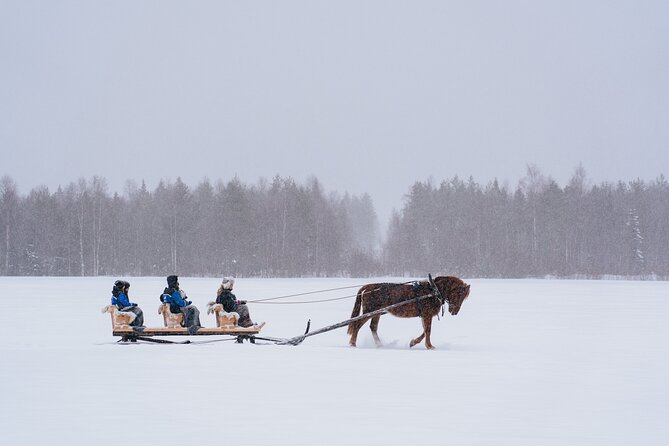 Horse Sleigh Ride in the Arctic, Apukka Resort Rovaniemi