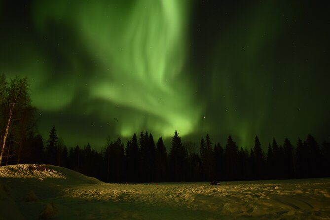 Horse Sleigh Ride Under The Night Sky in Apukka Resort, Rovaniemi