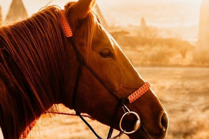 Horse Tour Accompanied by Sunset in Cappadocia - Including Hotel Transfer - Pickup Information