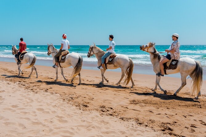 Horseback Riding, 4 Options-Mountain, Lesson Ring, Beach (2Hours)