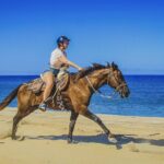 1 horseback riding beach and desert in cabo by cactus tours park Horseback Riding Beach and Desert in Cabo by Cactus Tours Park