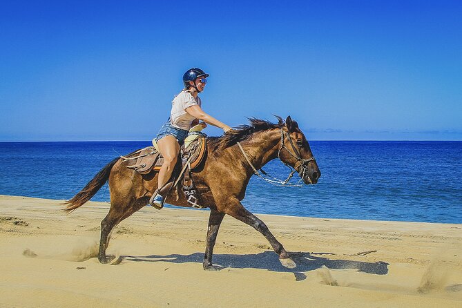Horseback Riding Beach and Desert in Cabo by Cactus Tours Park