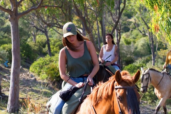Horseback Riding by the Beach or Mountain in Tarifa, Spain – 1 to 2 Hrs