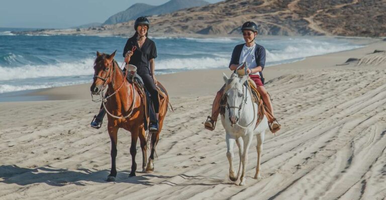 Horseback Riding in Cabo