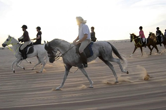 Horseback Riding in Dubai Desert