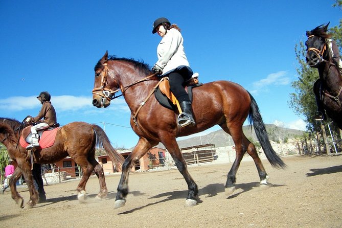 1 horseback riding in fuerteventura for 1 or 2 hours spain Horseback Riding in Fuerteventura for 1 or 2 Hours, Spain