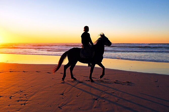 Horseback Riding in the Sunset of Famara Beach, Lanzarote, Spain