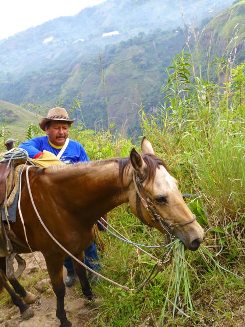 Horseback Riding Tour and Visit to Tablón, Chaquira, Pelota