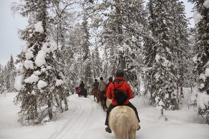Horseback Riding Tour in Levi - Experience Highlights