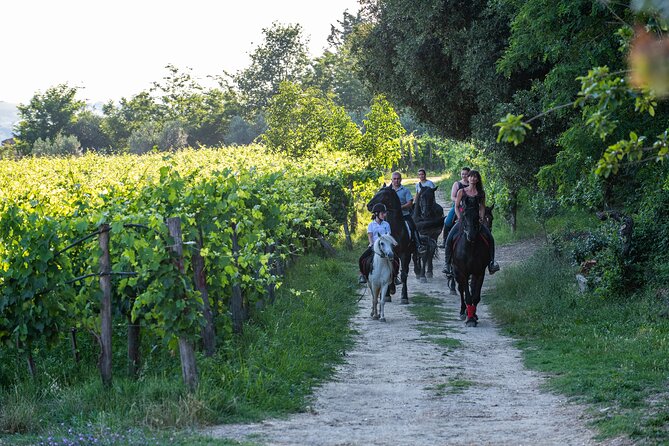 Horseback Riding Tour With Tuscan Picnic in Val Dorcia and Valdichiana