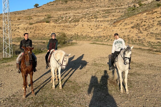 Horseback Riding With Certified Guide