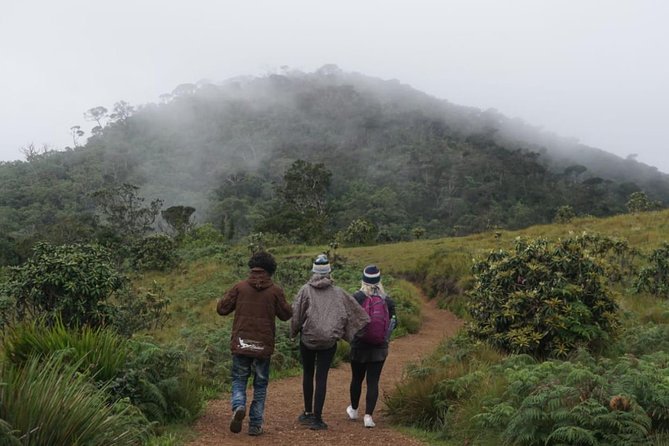 1 horton plains national park Horton Plains National Park