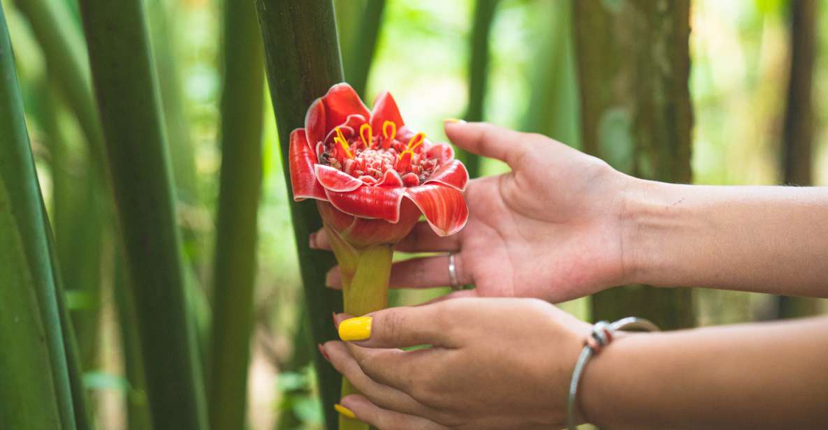 1 huatulco nature park with fruit tasting optional zipline Huatulco: Nature Park With Fruit Tasting & Optional Zipline