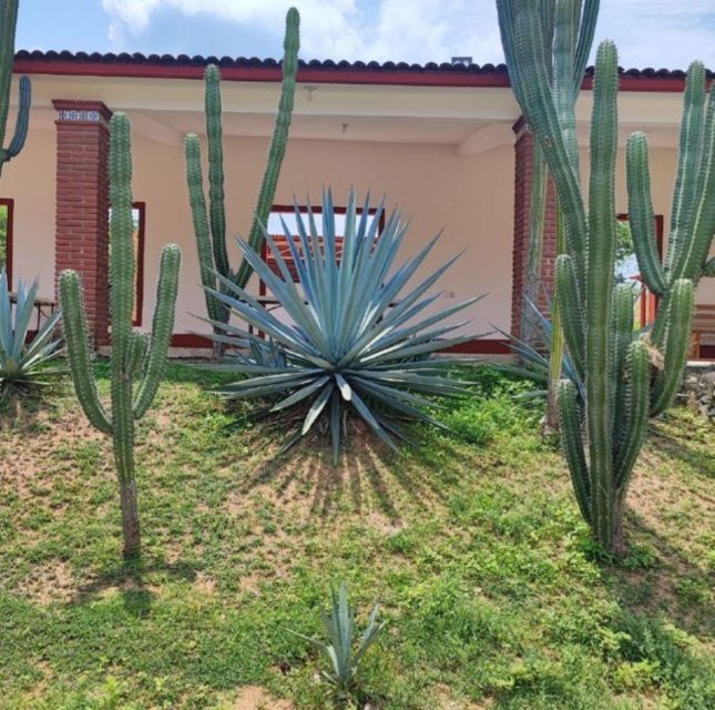 Huatulco: Private Mezcal Factory Experience