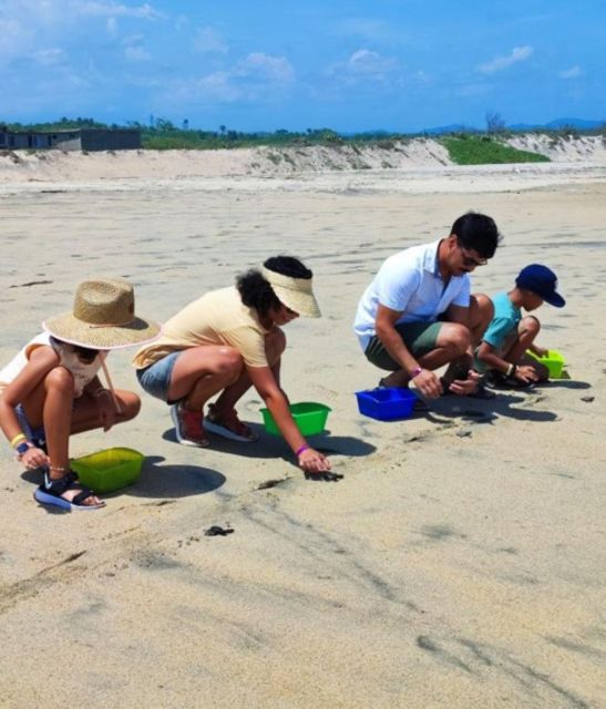 Huatulco: Private Turtle Release Experience