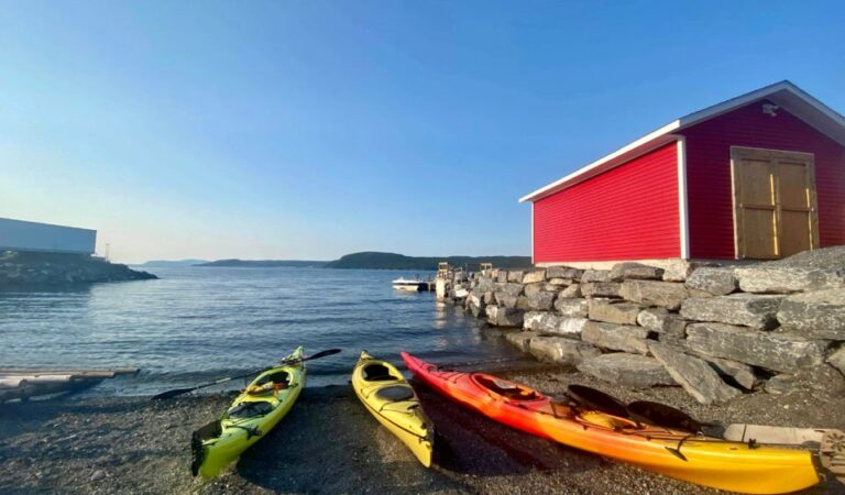 Humber Arm South: Bay of Islands Guided Kayaking Tour