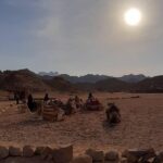 1 hurghada small group atv safari with camel ride and tea Hurghada Small-Group ATV Safari With Camel Ride and Tea