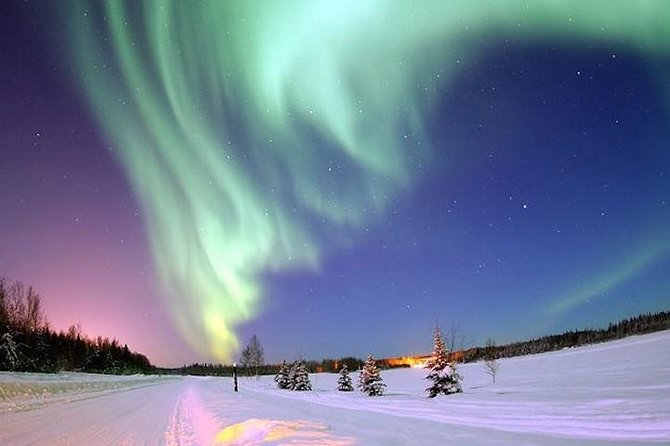Husky Dogsledding and Northern Lights Excursion  – Rovaniemi
