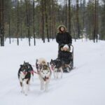 1 husky safari from rovaniemi including a husky sled ride Husky Safari From Rovaniemi Including a Husky Sled Ride