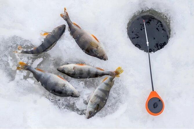 Ice-Fishing in Levi With Making a Finnish Fish Soup