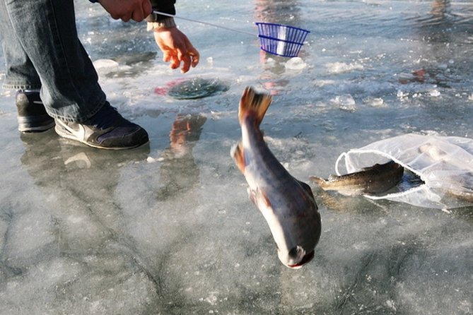 Ice Fishing Tour - Hwacheon Sancheoneo Ice Festival Day Trip From Seoul