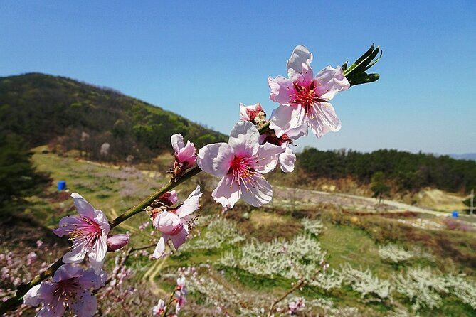 1 icheon mountain hiking culture tour Icheon Mountain Hiking & Culture Tour