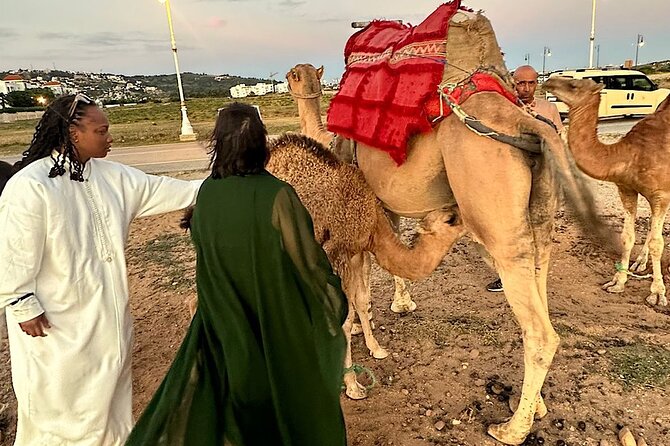 1 inclusive beach camel ride cap spartel hercules full dinner Inclusive Beach Camel Ride, Cap Spartel, Hercules & Full Dinner