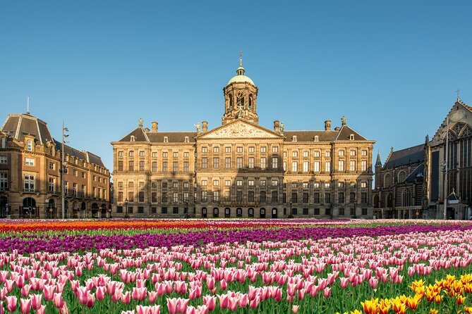 Instagram Photo Shoot in Amsterdam With a Photographer