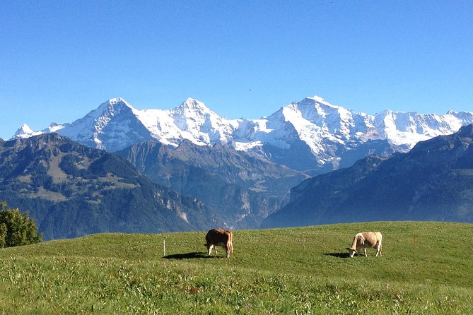 Interlaken & Jungfrau Private Tour – Customized Day Tour With Your Local Guide