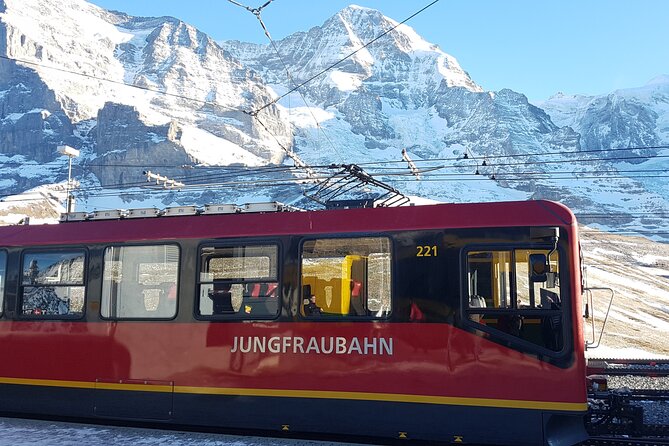 Interlaken to Jungfraujoch Full-Day Tour With Local Guide