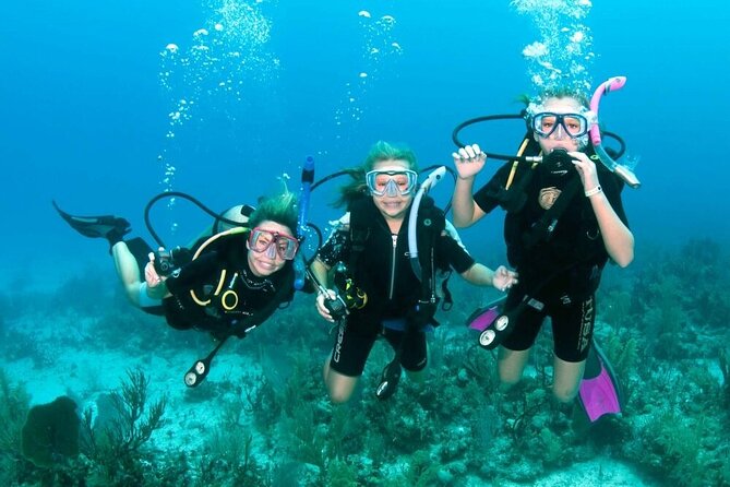 Intro Diving for Beginners 2 Stops Diving With Lunch in Hurghada