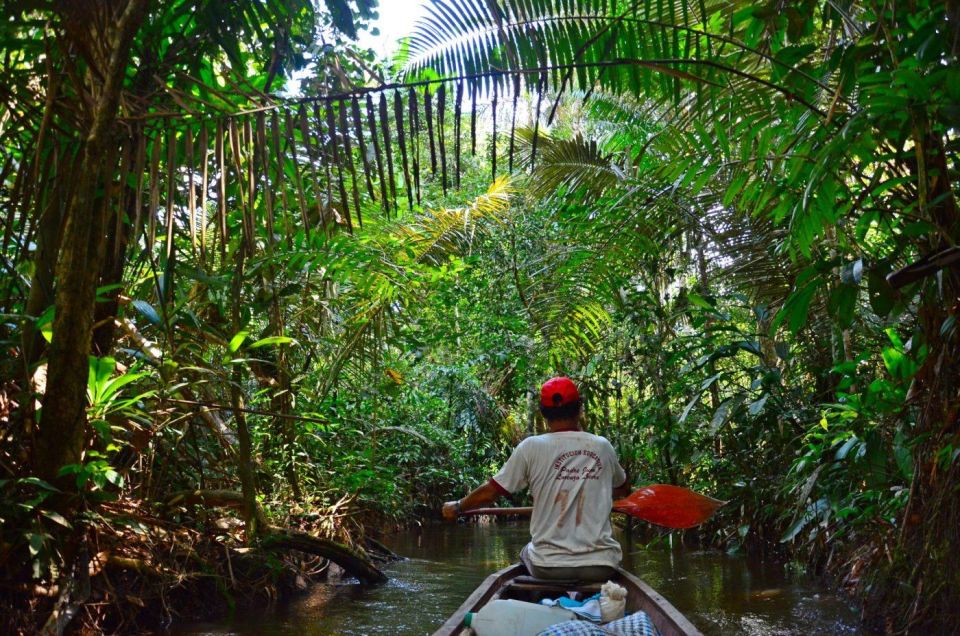 1 iquitos 2 days in the amazon natural wonder of the world Iquitos 2 Days in the Amazon, Natural Wonder of the World