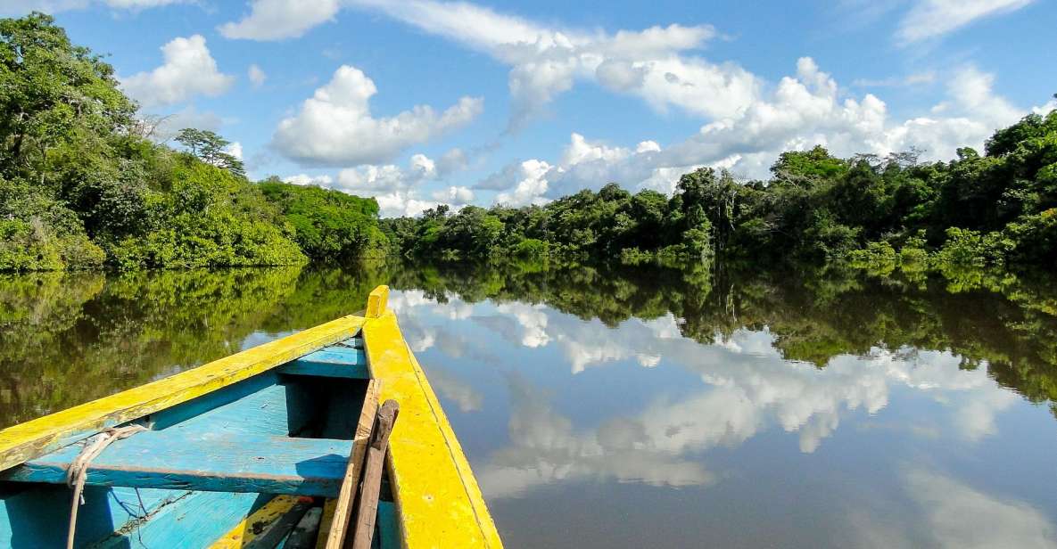 1 iquitos 4 day amazon jungle trip Iquitos: 4-Day Amazon Jungle Trip