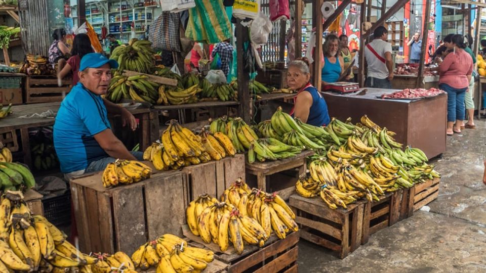 1 iquitos belen market and venice loretana guided tour Iquitos: Belen Market and Venice Loretana Guided Tour