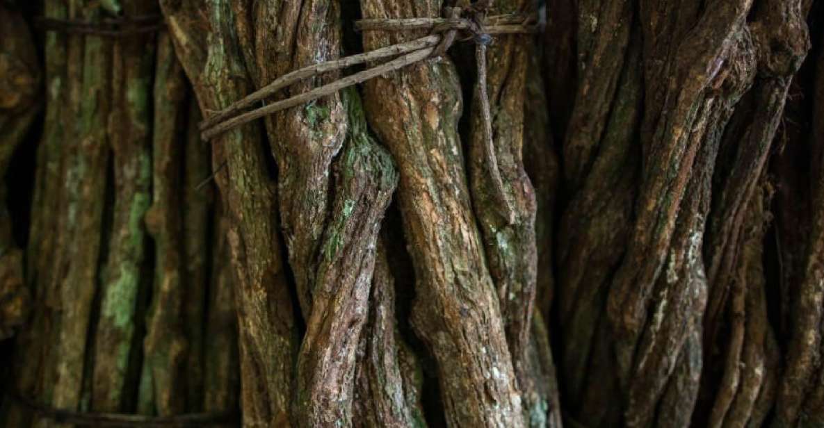 1 iquitos healing treatment with ayahuasca 1 ceremony Iquitos: Healing Treatment With Ayahuasca 1 Ceremony