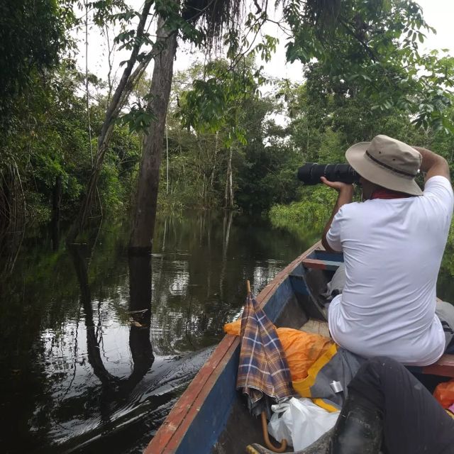 Iquitos: Jungle Tour on Boat, Itaya River