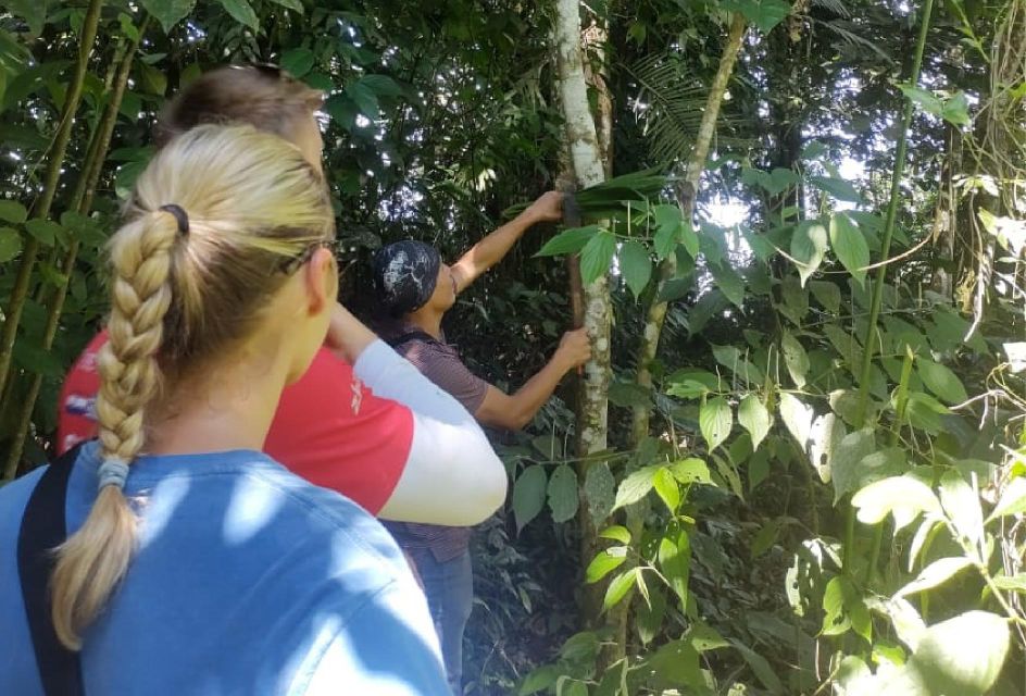 1 iquitos river and nature 2 days and 1 night Iquitos: River and Nature 2 Days and 1 Night