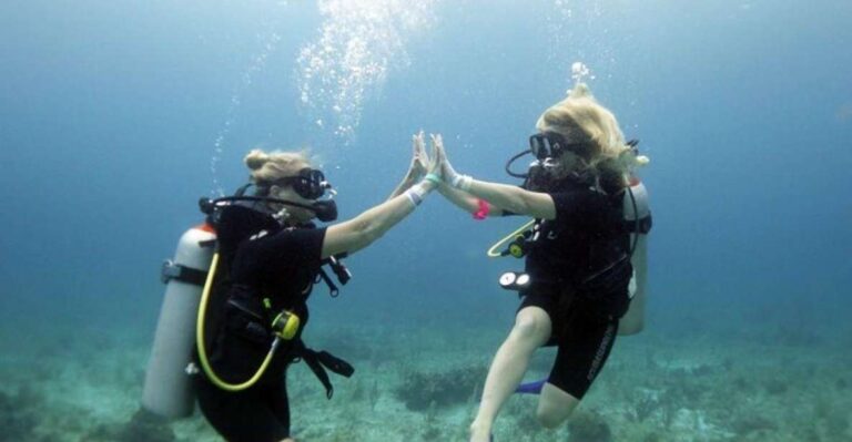 Isla Mujeres: PADI Open Water Diver Course