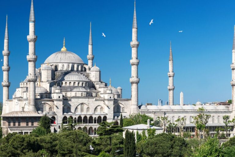 Istanbul: First Discovery Walk and Reading Walking Tour
