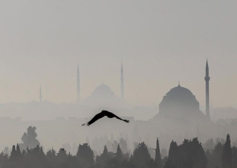 Istanbul: Hagia Sophia, Blue Mosque, Cistern & Bazaar Tour