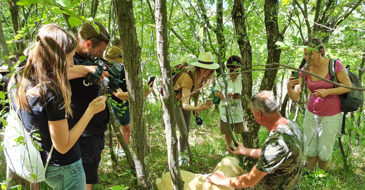 1 istria truffles hunting cooking tasting slovenia Istria - Truffles: Hunting & Cooking & Tasting, Slovenia