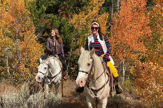 Jackson Hole Horseback Riding in Bridger Teton National Forest
