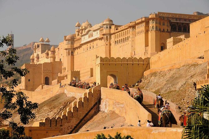 Jaipur Full-Day Private Guided Tour