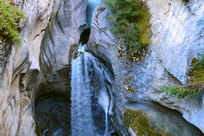 1 jasper wildlife and waterfalls tour with maligne lake hike Jasper Wildlife and Waterfalls Tour With Maligne Lake Hike